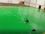 Pemilihan Permukaan Lapangan Pemilihan Permukaan Lapangan