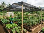 Toko Paranet Solo dengan Harga Grosir & Stok Besar
